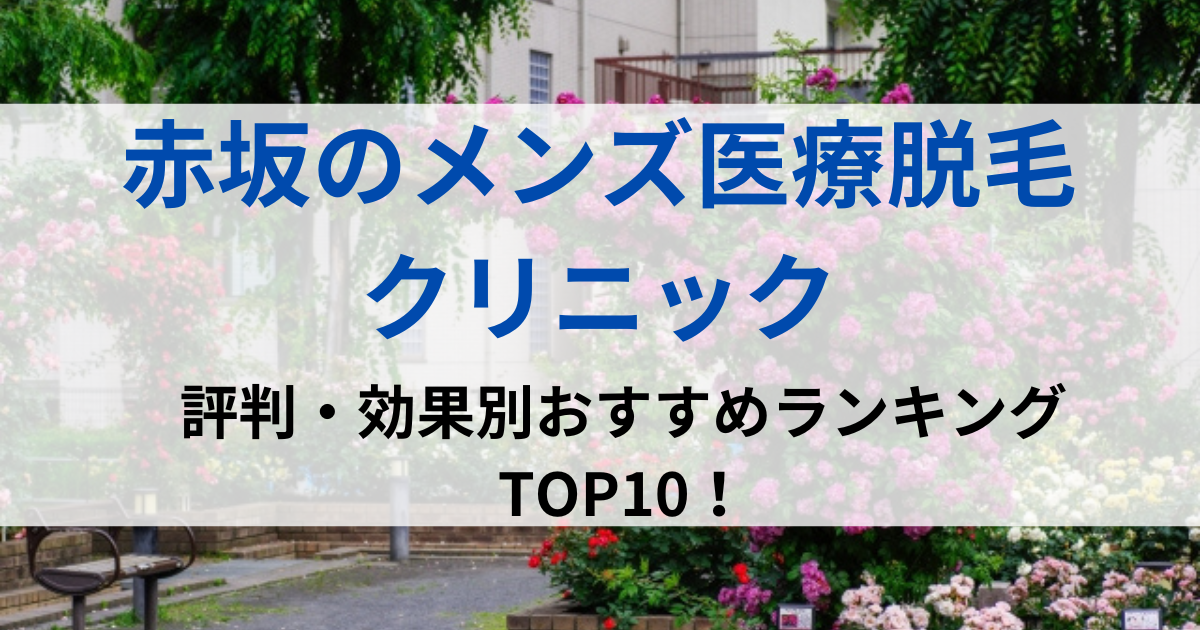 赤坂の街並イメージ画像です