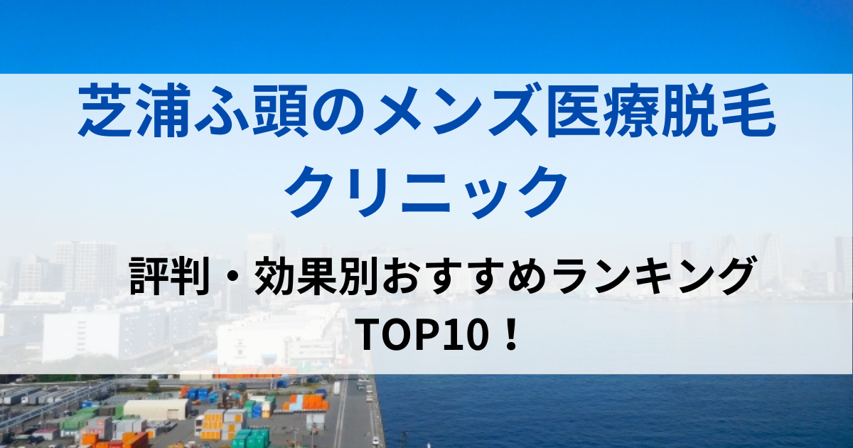 芝浦ふ頭の街並イメージ画像です