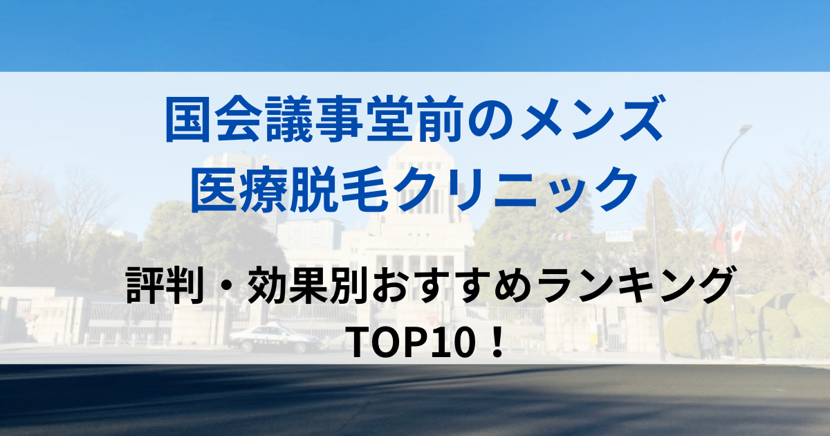 国会議事堂前の街並イメージ画像です