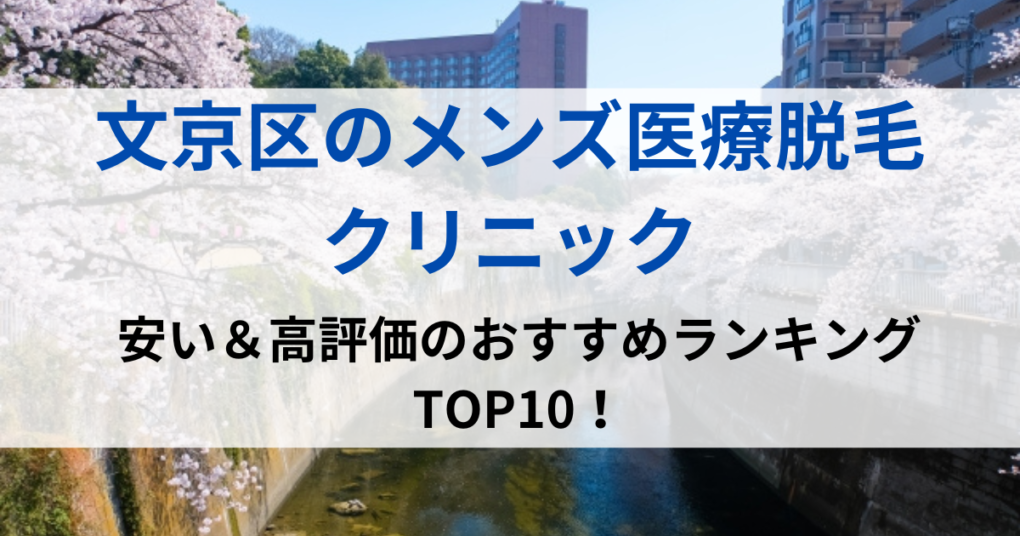 文京区の街並イメージ画像です