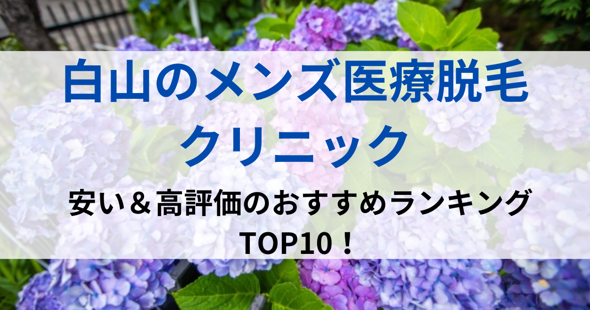 白山の街並イメージ画像です